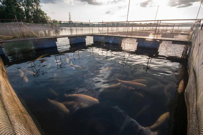 德庆养殖污水处理